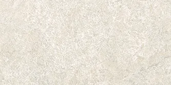 Dynasty White — 1