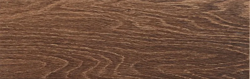 Acacia Roble — 1