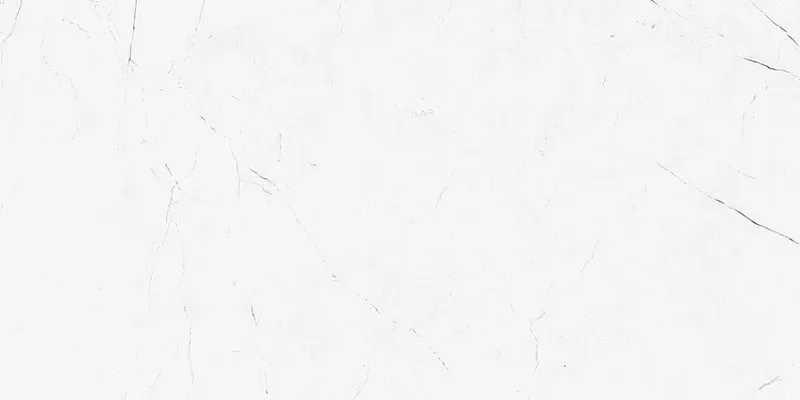 Vision VS01/NS/3060 — 1