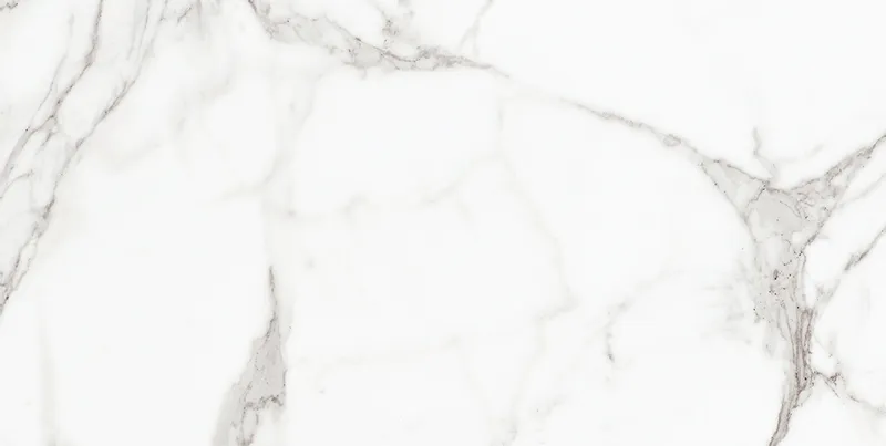 Palatina Blanco Pulido Rect 120 — 1