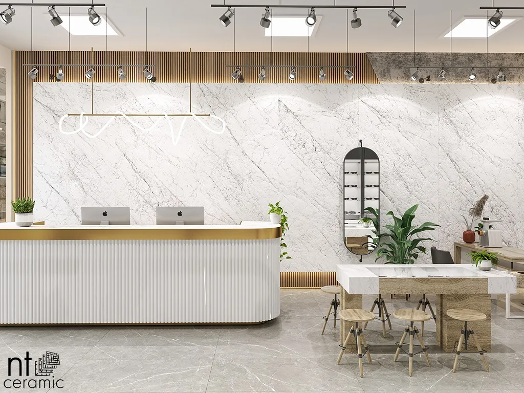 Carrara Atlas Home NT Ceramic — 7