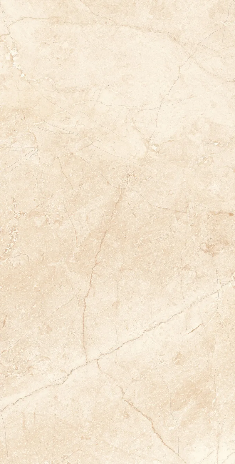 Light Beige MA02/NS — 7