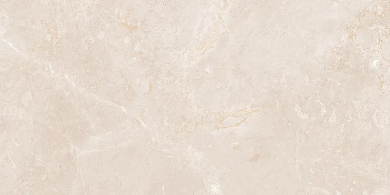 ITALO BROWN 60х120 — 1