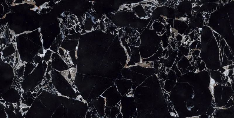 CV20209 Labrador Nero Polished — 1