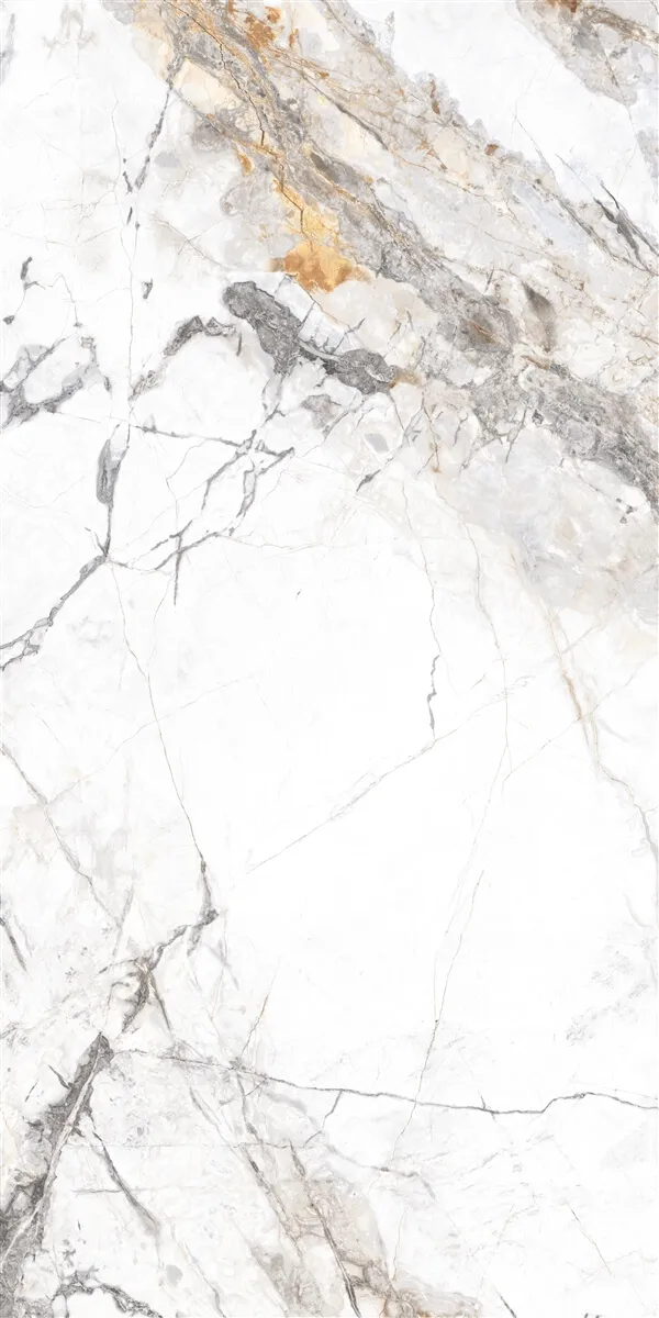 P15202 Grey Pol — 2