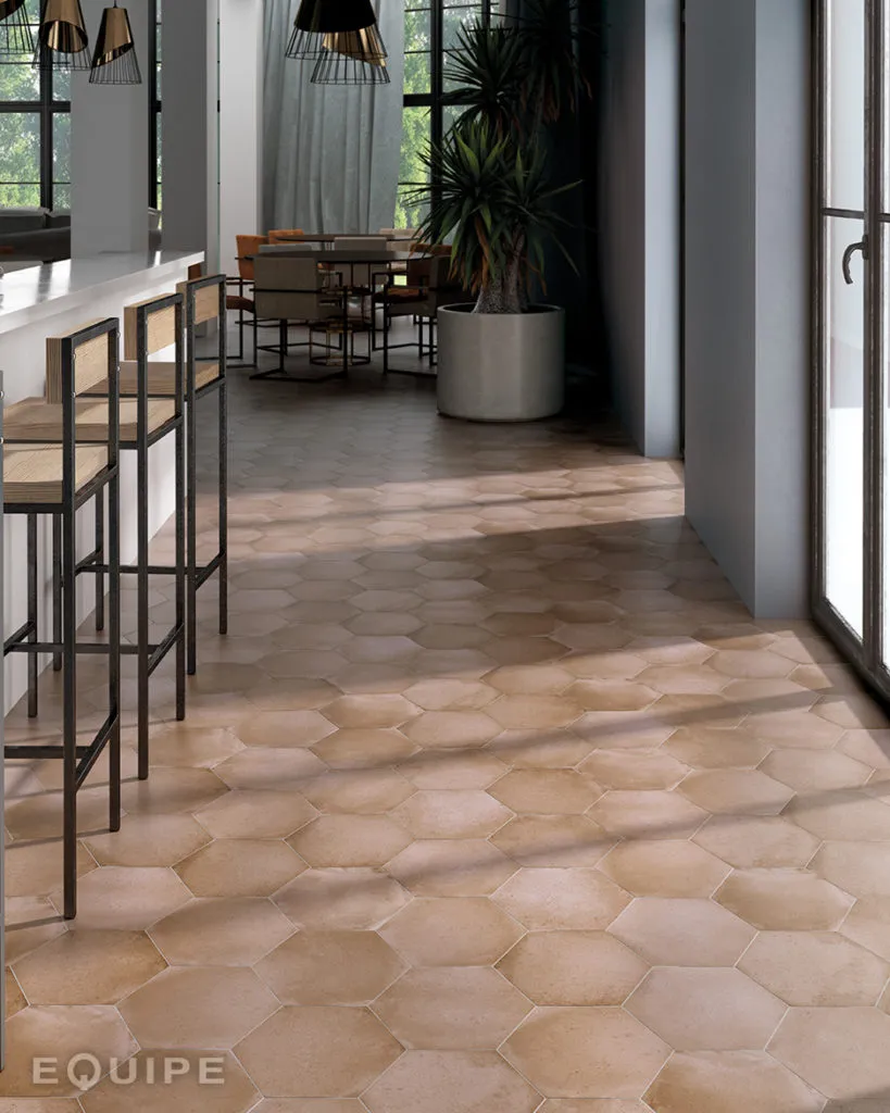 Terra Equipe — 5