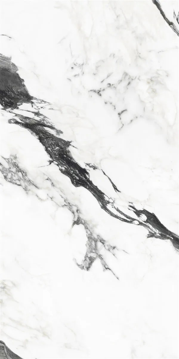 P19707 White — 4