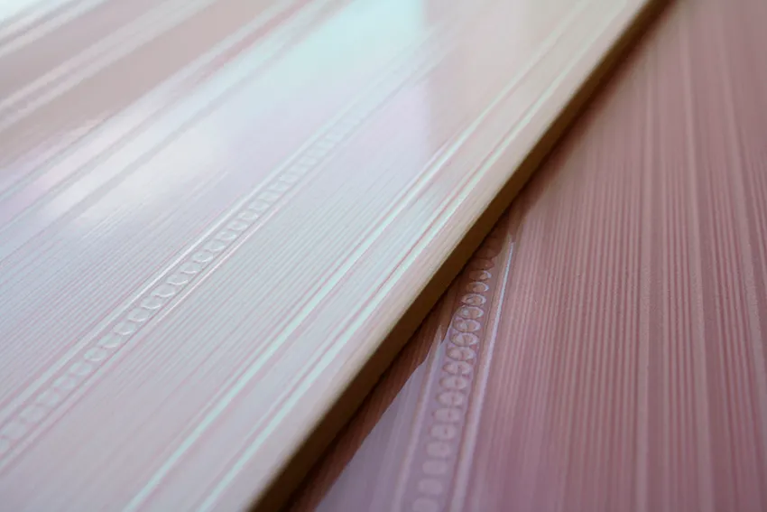 Twist Pion Altacera — 7