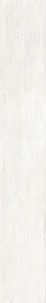 TWS WOOD BLANC NT RT 20X120 — 1