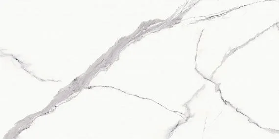 Statuario Goya — 5