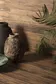 FS Wild Peronda — фото 3