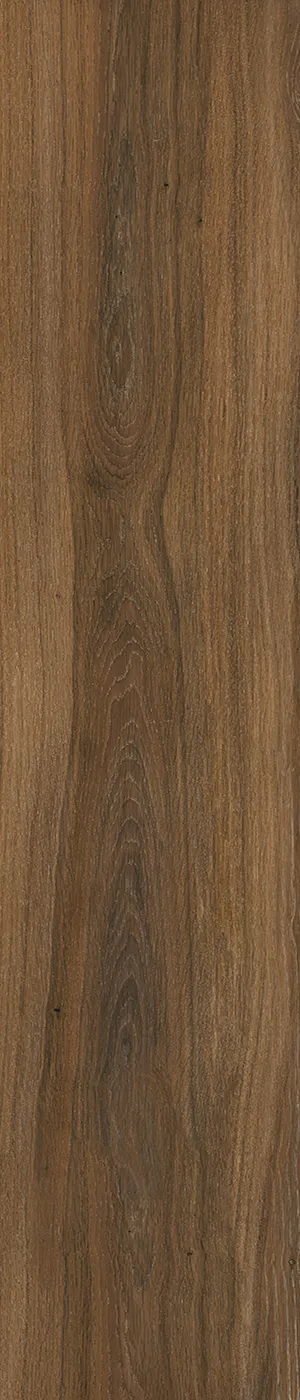 Valerian Laurentii 20х120 — 1