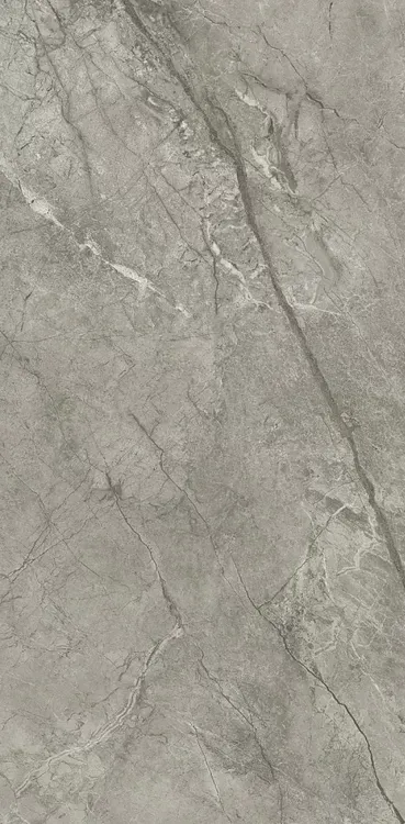 Marvel Meraviglia Silver Majestic Lappato 60x120 — 1
