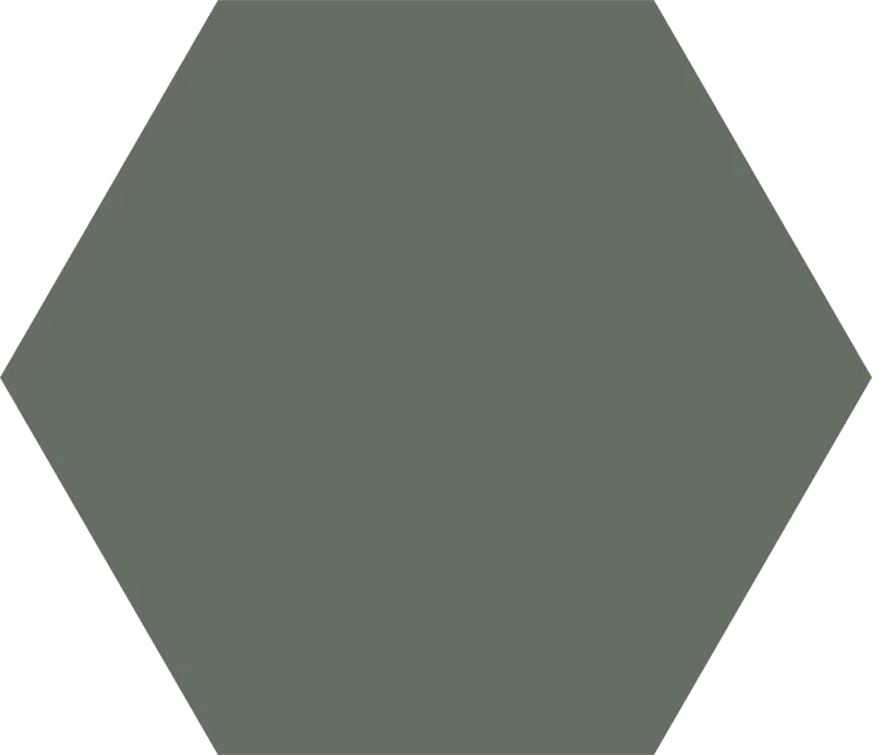 Basic Hexagon Moss — 1