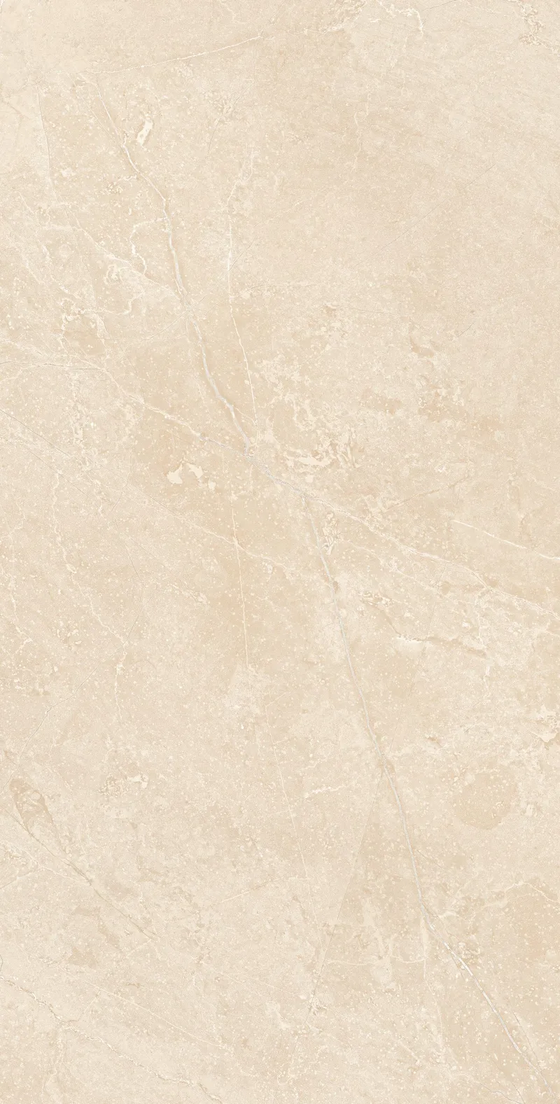 Dark Beige MA03/PS — 6