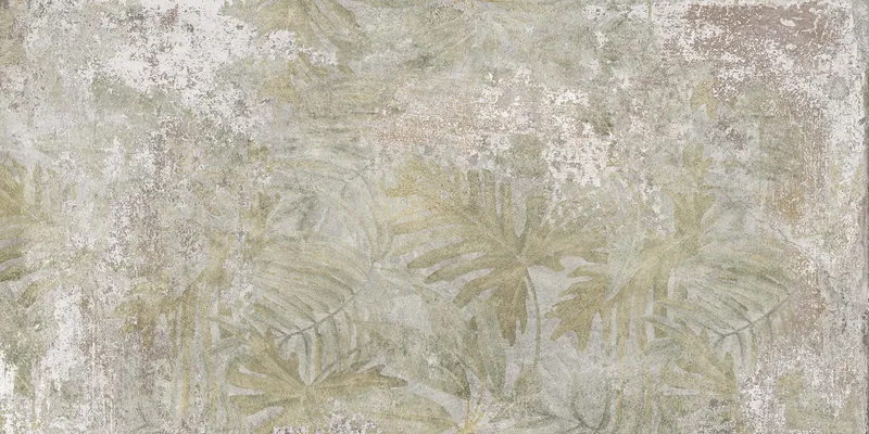 PF60004903 Oasis — 2