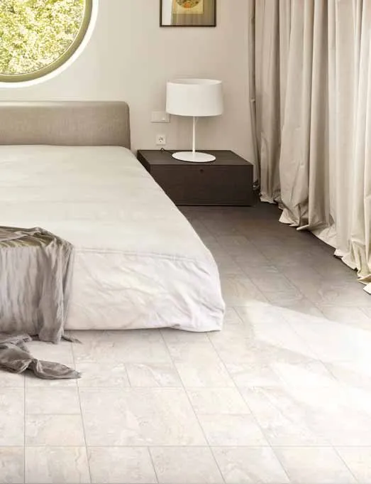 Regis Cerdomus — 20