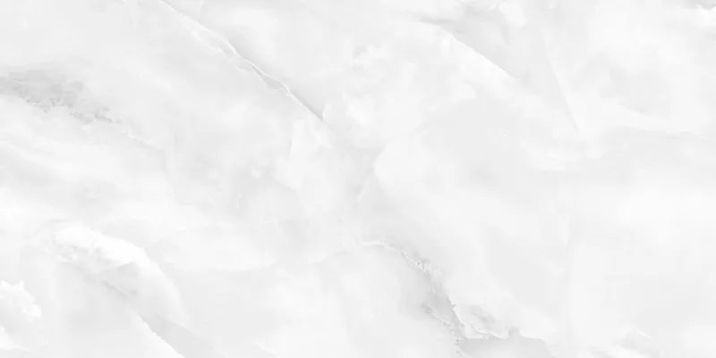 N20434 Onyx Light Polished — 2