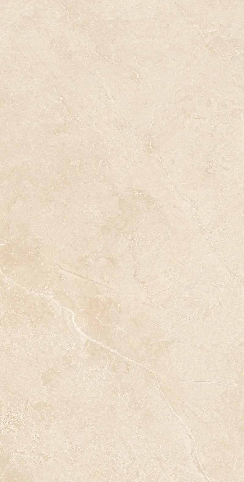 Dark Beige MA03/PS — 7