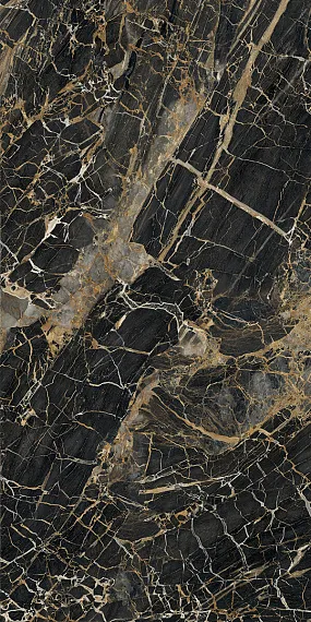 Black Golden — 6