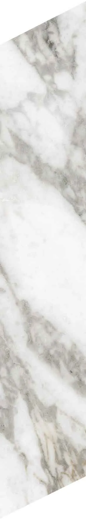 PF60012691 Chevron Bianco Vagli — 11