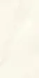 PK612400 Onice Bianco Extra lev. silk — фото 1