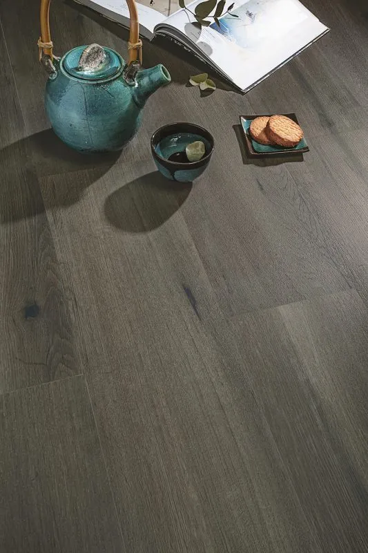 Forest La Platera — 13