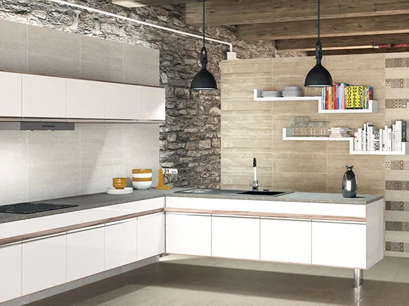2202 Porcelanite dos — 1