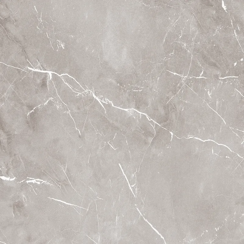 PF60004309 Grey — 3