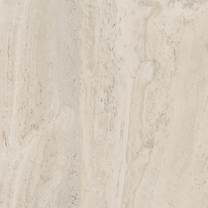 PF60006606 Bone Vein — 9