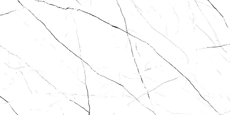 60120TWN00P White — 7