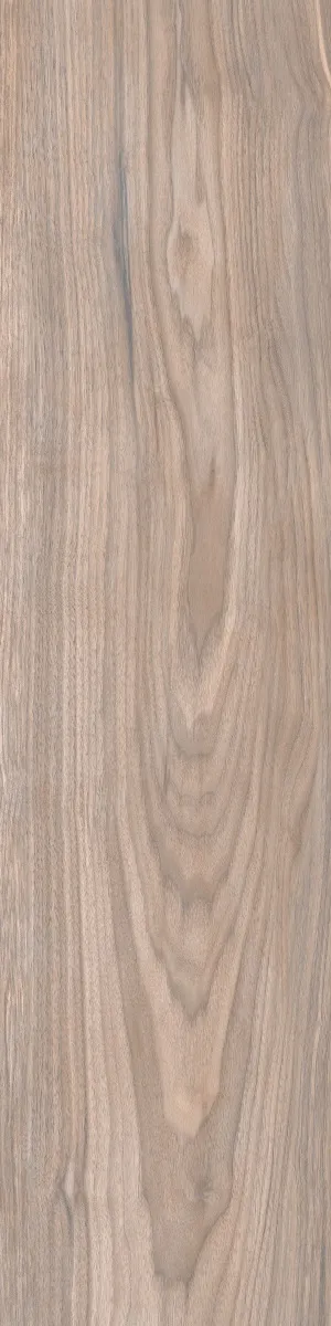 Forest Gold Terra 20x80 — 1