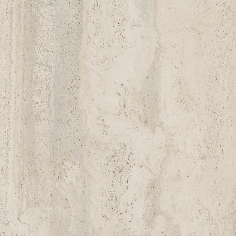 PF60006606 Bone Vein — 2