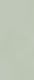 Boost Color Mint Matt 50x120 — 1