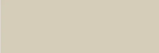 Colorful Champagne Rect 30x90 — 1