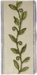 Salvilla 6.5x13 — 1