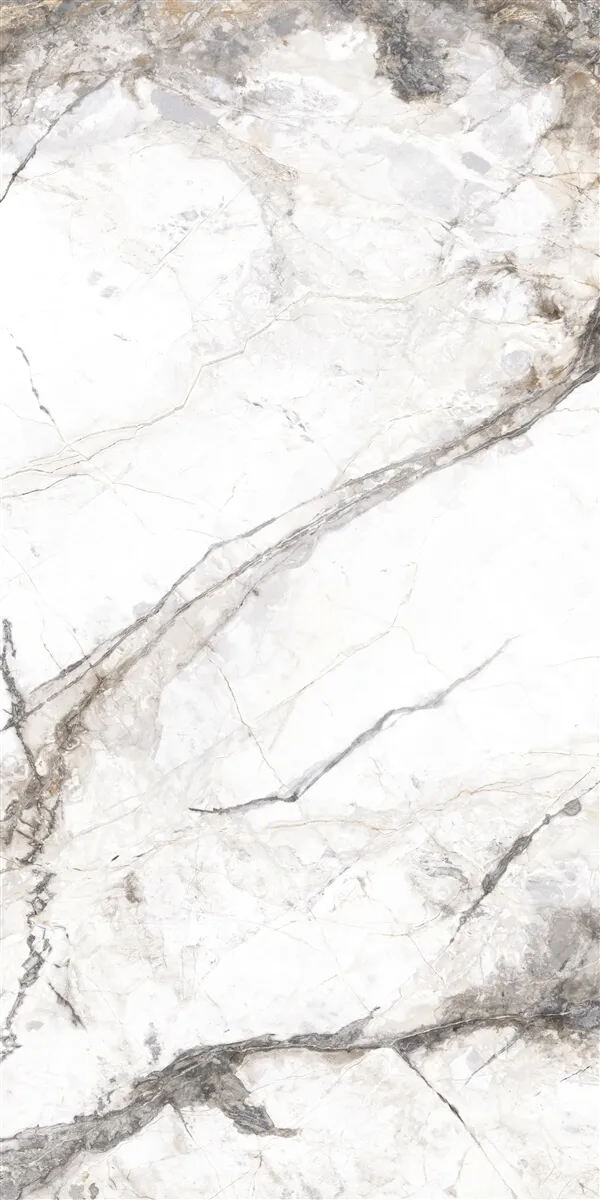 P15202 Grey Pol — 6