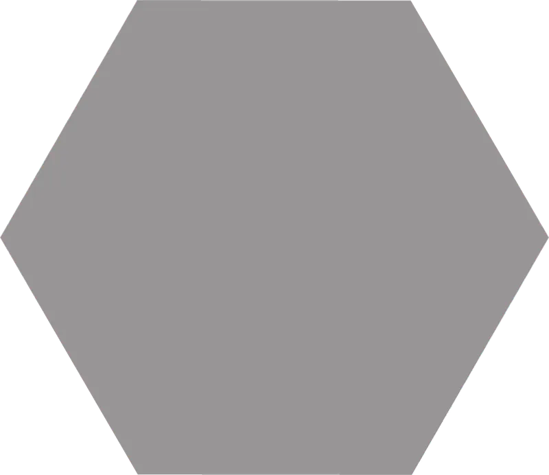 Basic Hexagon Grey — 1