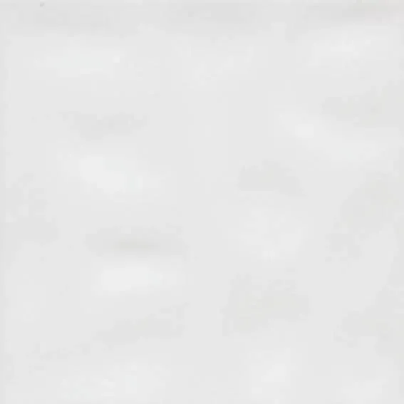 Liria Blanco Brillo 20х20 — 1