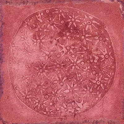 Luca Carlo Granate-B 20x20 — 1