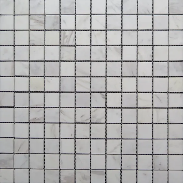 SGY5238P — 1