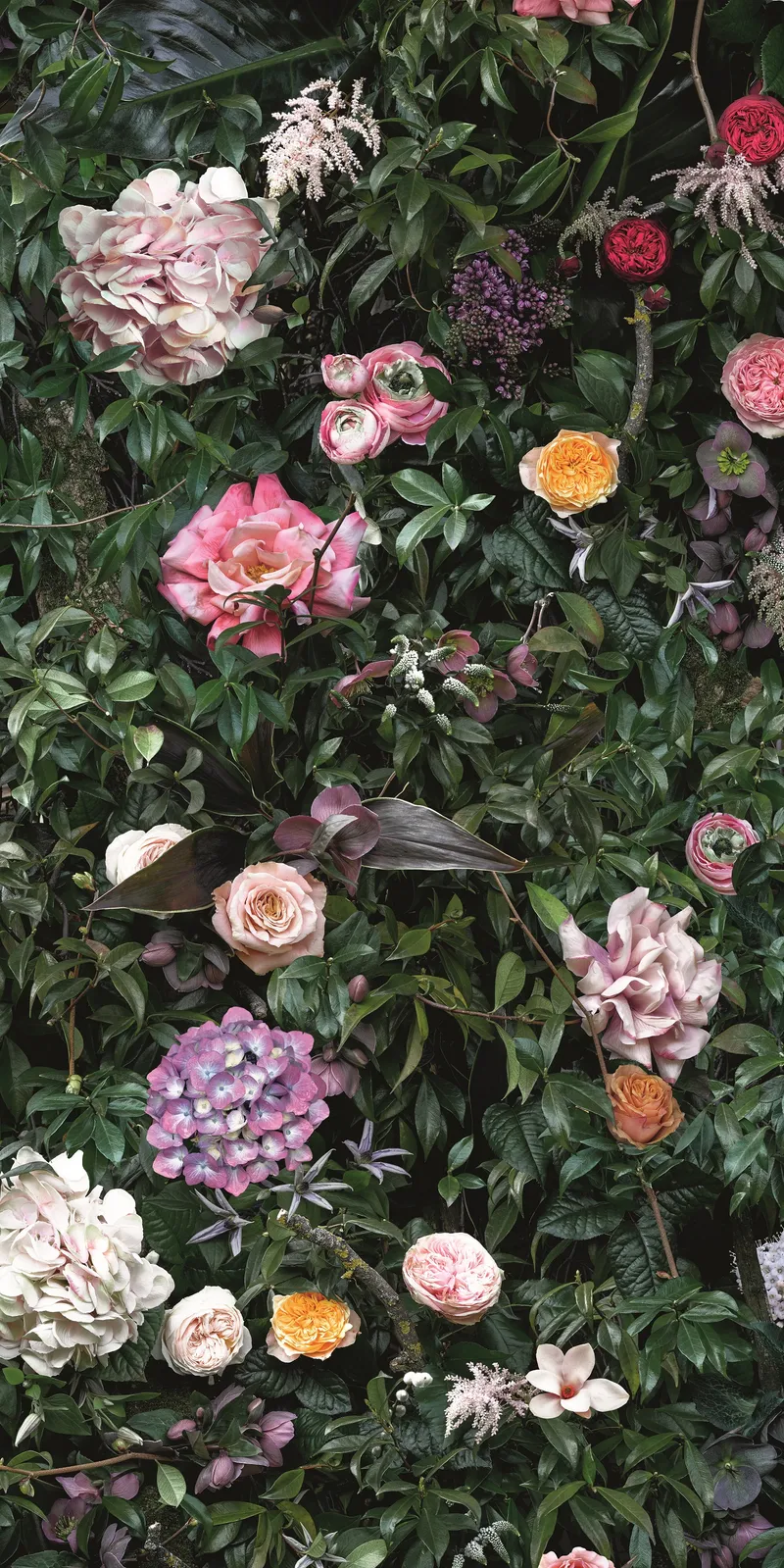 4100993 William — 1