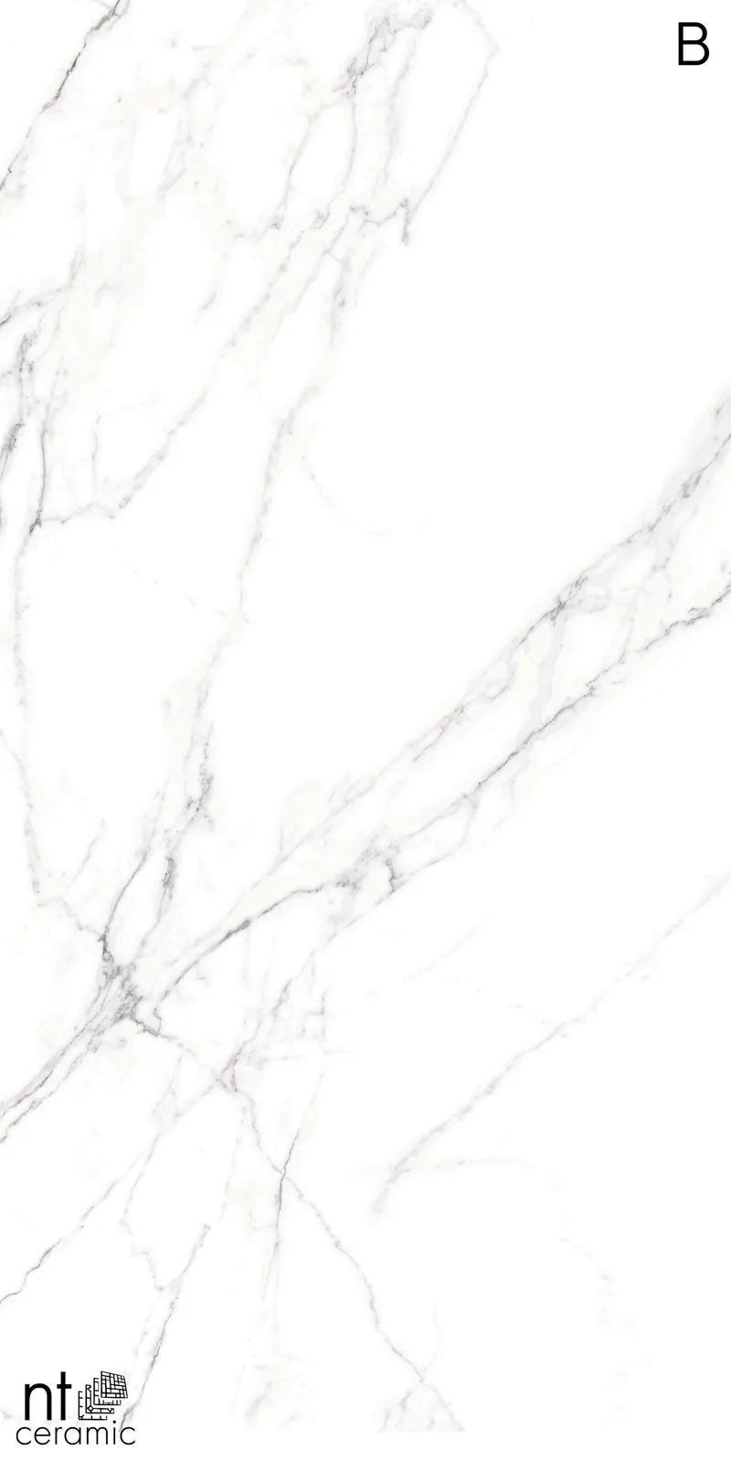 NTT3506L Calacatta — 3