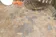 Slate Ceracasa — фото 6