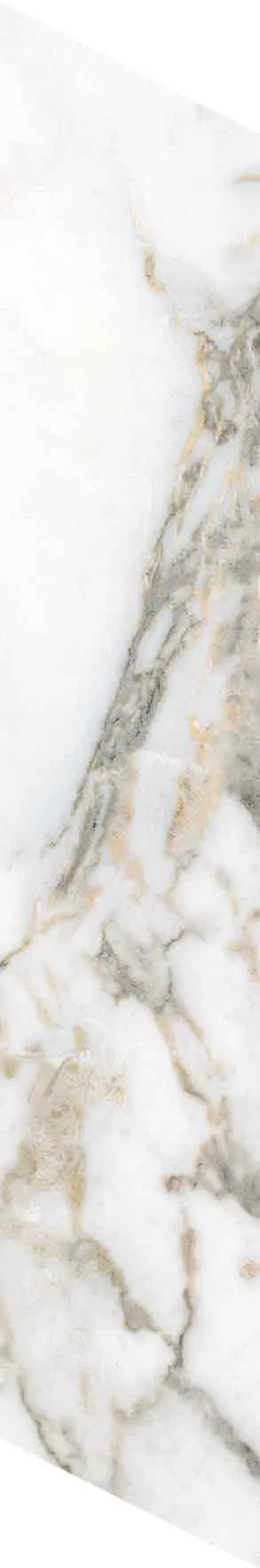 PF60012691 Chevron Bianco Vagli — 20