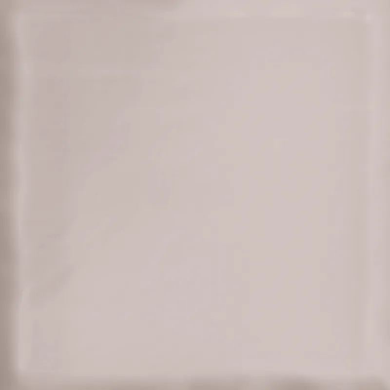 Taupe — 2
