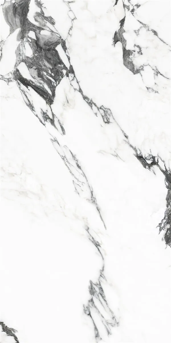 P19707 White — 2
