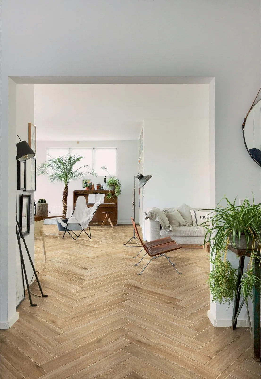 Woodglam Ragno — 3