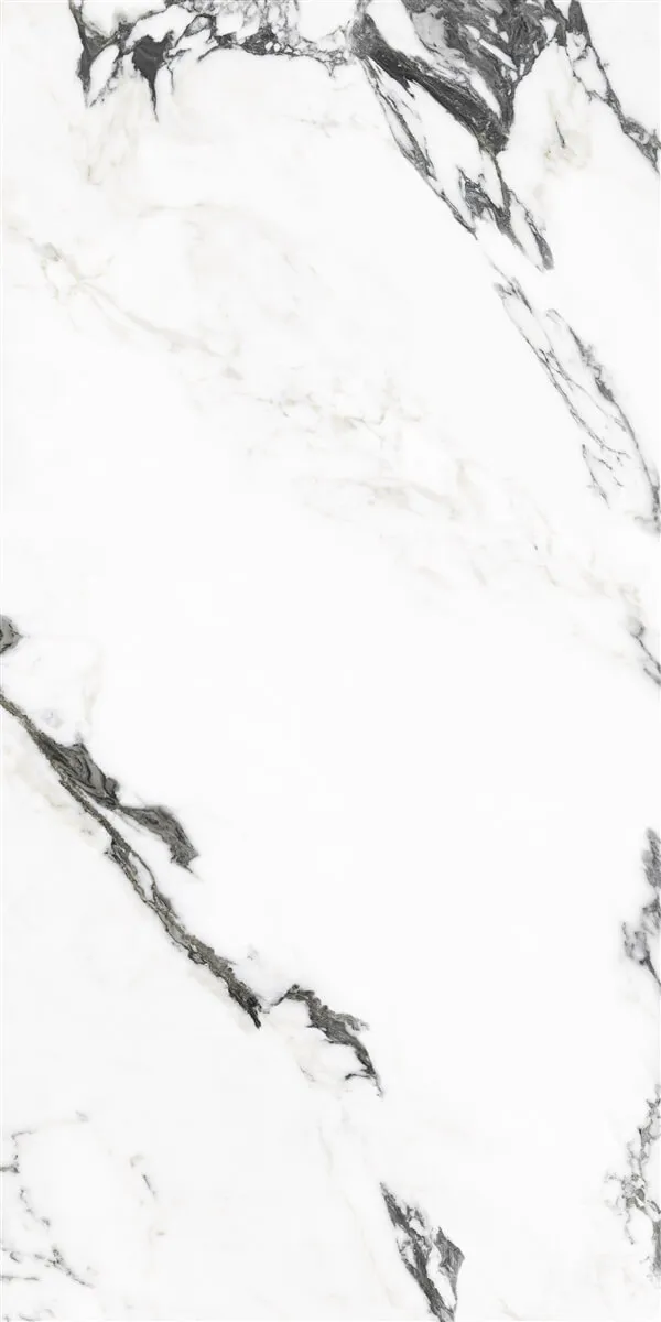 P19707 White — 5