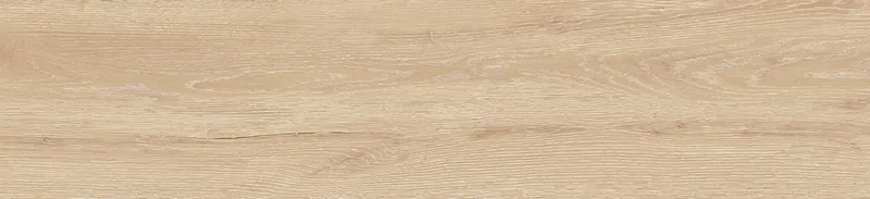 GFA2090GRW04R — 11